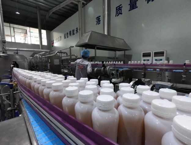 紅茶菌飲品生產(chǎn)車間