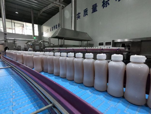 紅茶菌飲品生產(chǎn)車間